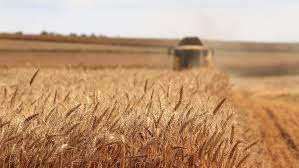 Céréales : Les importations augmentent de 23% en 2022